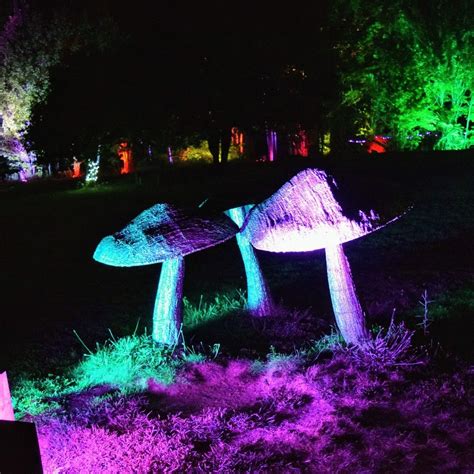 Night Lights At Griffis Sculpture Park — Ellicottville Now