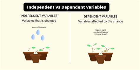 What Is The Difference Between Independent Dependent And Controlled