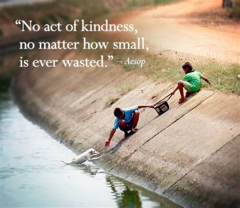 No Act Of Kindness No Matter How Small Is Ever Wasted The Pongo Fund