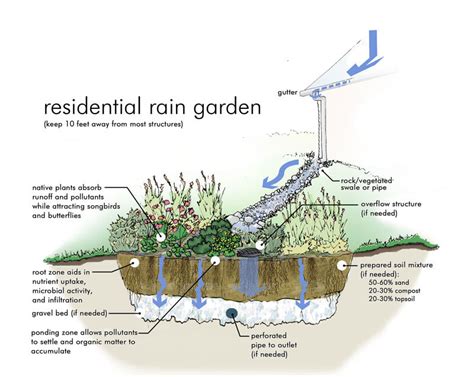 Rain Gardens And Drainage Systems For Excess Stormwater
