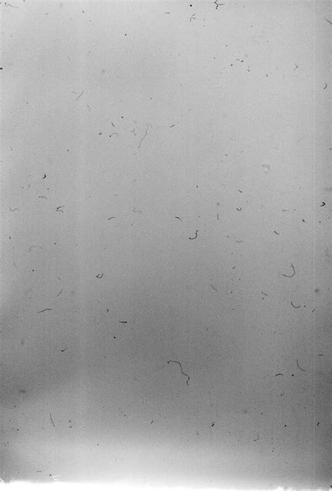 Vertical Too Dusty Film Texture Texture Photography Texture Graphic