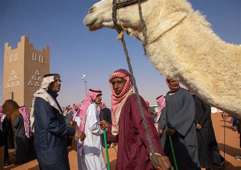 Beauty Contest In King Abdul Aziz Camel Festival Riyadh P Flickr