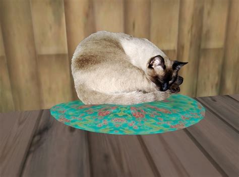 Siamese are really a breed unlike any other. Second Life Marketplace - Cat: Sleeping Siamese