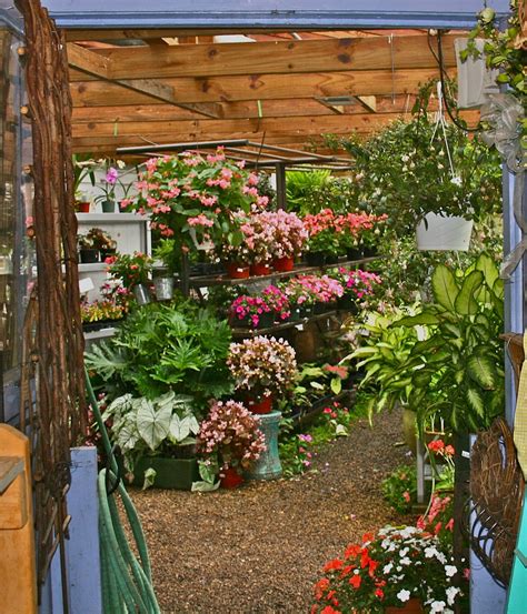 A Tiny Homestead Ivy Corner Garden Center