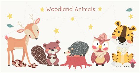 Cute Woodland Animals Clipart Set Tiger Reindeer Owl Beaver And