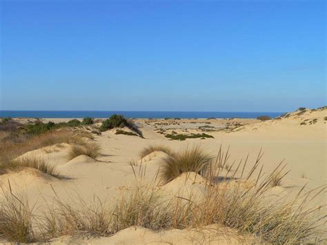 Piscinas Le Dune Di Sabbia Sands Dunes Sardinia Italy The Beauty