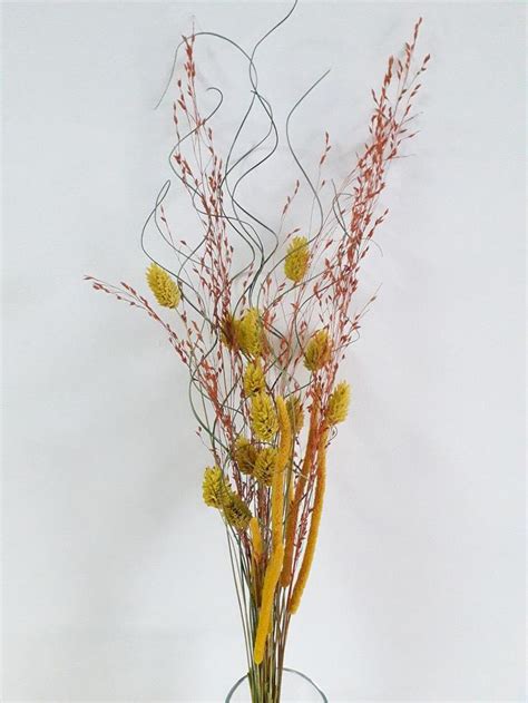 Tall Dried Flowers For Vase Long Stem Dried Flowers For Etsy Tall