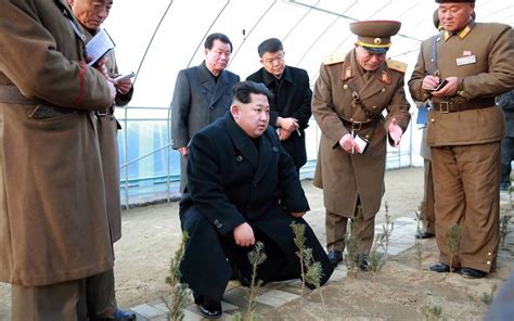 Telegraph Pics Kim Jong Un In Pictures The Bizarre Photoshoots Of