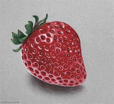 Fruits Pencil Drawing Images