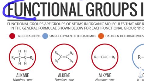 01chap12 Intro To Functional Groups Alcohols Youtube