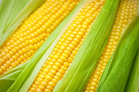 Is Corn A Grain Yes And Its Also A Fruit And A Vegetable