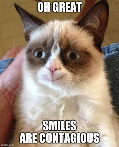 Grumpy Cat Happy Meme Imgflip