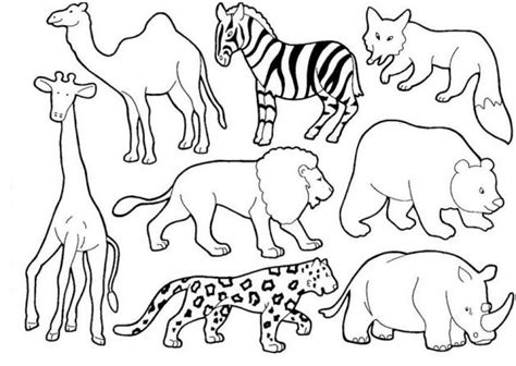 Dibujos De Animales Para Colorear