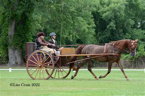 Carriage Pleasure Driving Us Equestrian