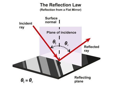 Types Of Reflection — Lesson Science State Board Class 8