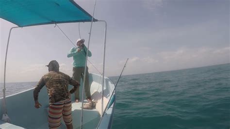 Pesca En Sisal Yucatán 10 De Junio 2019 Pescando Con Popper Youtube