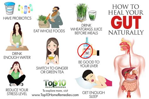 How To Heal Your Gut Naturally Top 10 Home Remedies