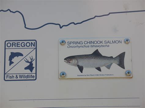 Blue 4 Does More The Tour Of The Oregon Department Of Fish And