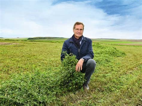Benefits Of Growing Alfalfa