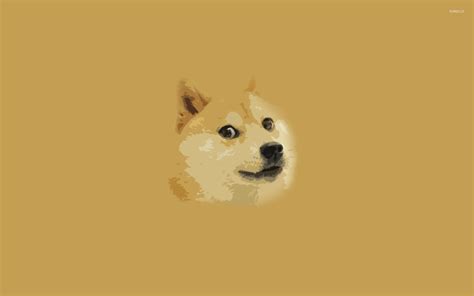 80 Doge Wallpaper 1920×1080