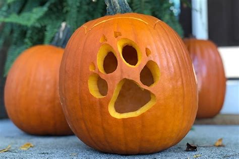 The Blog Make Your Home Fall Proof With These Dog Inspired Pumpkin