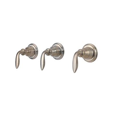 Tub and shower faucet replacement. Pfister Replacement Handle for Three-Lever Handle Tub and ...