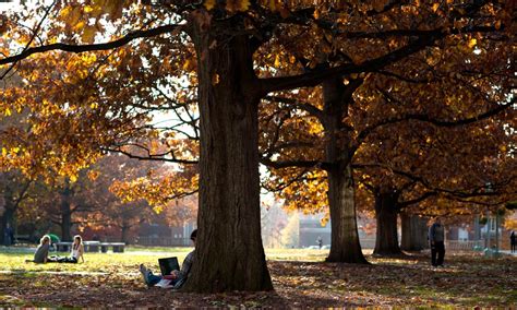 University Named Tree Campus Usa For Fourth Straight Year