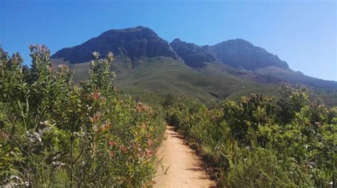 Hiking And Picnics At The Helderberg Nature Reserve In Somerset West