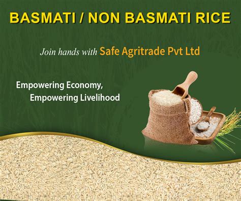 Safe Agritrade Private Limited Basmati Rice Non Basmati Rice