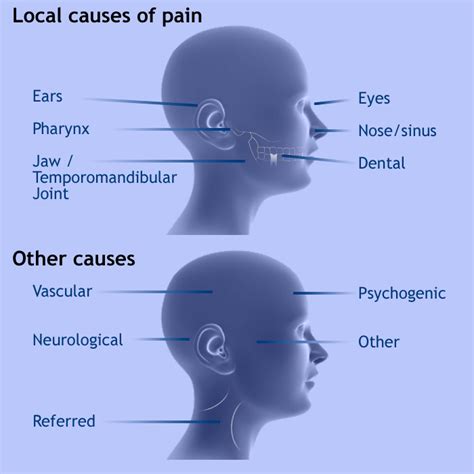 Orofacial Pain Tmj Specialist Diagnosis And Treatment For Patients