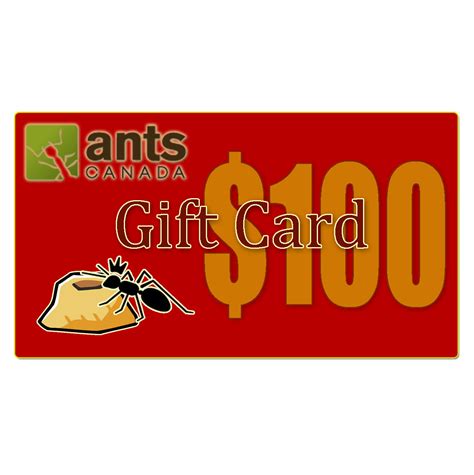 Send visa e gift card. E-Gift Card ($100.00) - AntsCanada