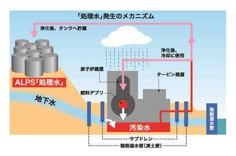 東電福島第一原発で増え続ける放射能を含んだ処理水QA 国際環境NGO FoE Japan