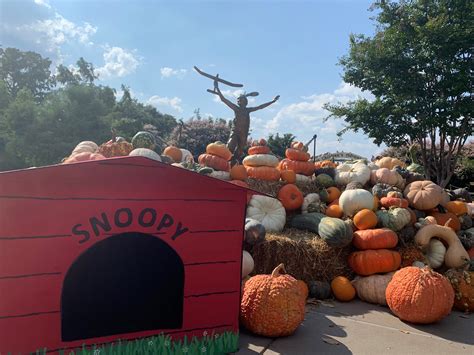 Good Grief You Wont Believe This Amazing Pumpkin Village At The