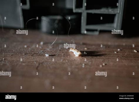 Pile Of Dirt And Dust On The Floor House Cleaning Concept Stock Photo