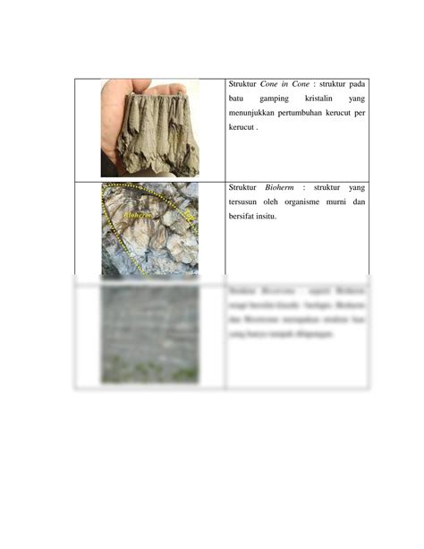 SOLUTION Struktur Pada Batuan Sedimen Non Klastik Studypool