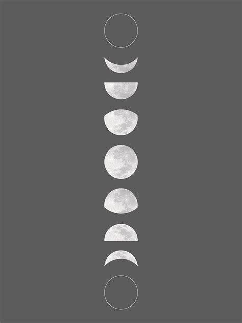 Moon Phases Art Moon Art Moon Moon Moon Phases Drawing Full Moon