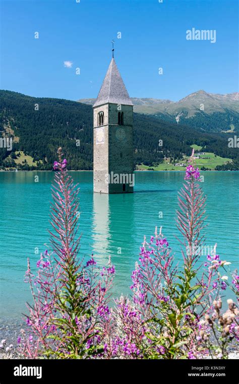 Italy The Bell Tower In Reschen Lake Hi Res Stock Photography And
