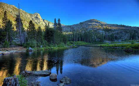 Download California Woodland By Nicholasr27 Windows 10 Stock