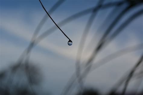 Raindrop Free Photo Download Freeimages
