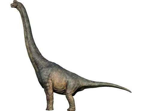 Brachiosaurus Jurassic World Evolution Wiki Fandom Brachiosaurus