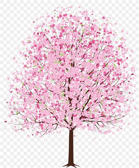 Cherry Blossom Tree Clip Art Png 7741x9408px National Cherry Blossom