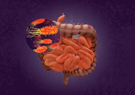 In Search Of The Relationship Between Stomach Bacteria And Coronavirus