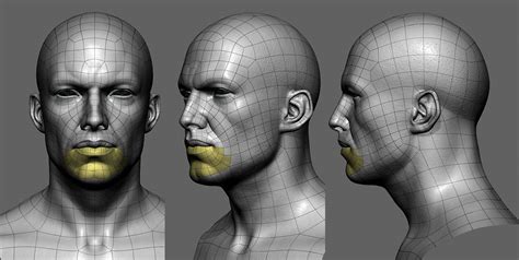 eof s sketchbook base mesh to share page 9 movie page 12 page 87 face topology 3d face