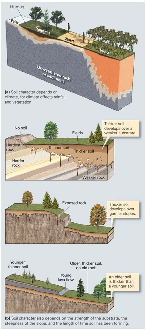 Soil ~ Learning Geology