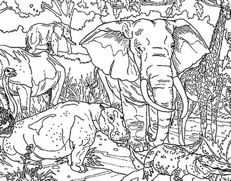 Gambar African Elephant Protected Animals Coloring Pages Di Rebanas
