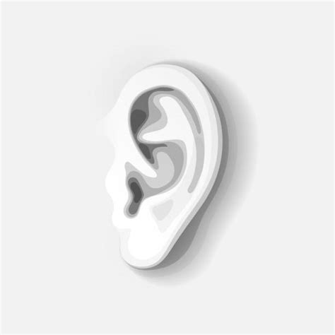 Earlobe Stock Illustrations Royalty Free Vector Graphics And Clip Art