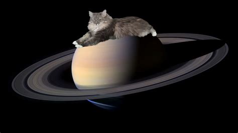Cosmic Kittens Saturn Features Get Feline Names Space