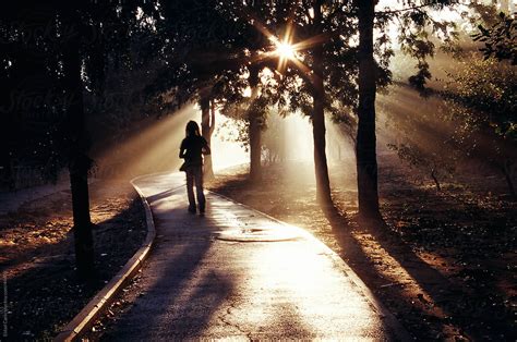 Person Walking In Grove Path At Sunrise By Stocksy Contributor Eldad