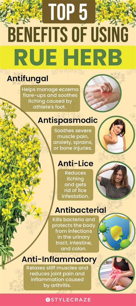 10 Amazing Benefits Of Rue Herb For Skin Hair And Health