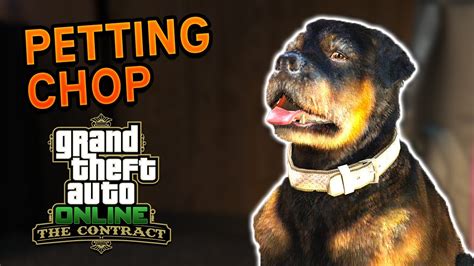 How To Pet Chop In Gta 5 Online The Contract Dlc Youtube